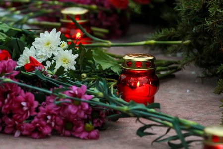 20 декабря в Ненецком округе объявлен днем траура по погибшим в авиакатастрофе в Нарьян-Маре