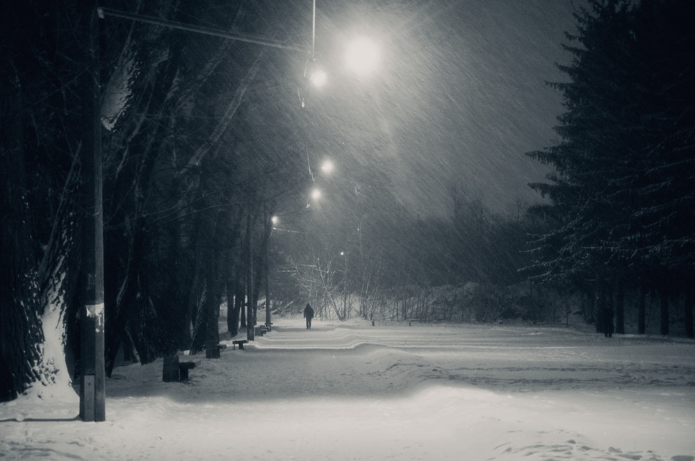 Первые дни января в Ненецком округе ожидается небольшой снег, местами метель
